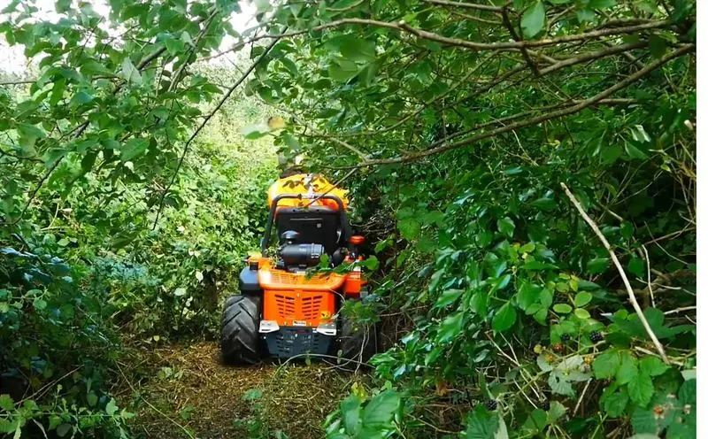 Best time to clear blackberry: the 4x4 flail mower clearing a blackberry-covered track
