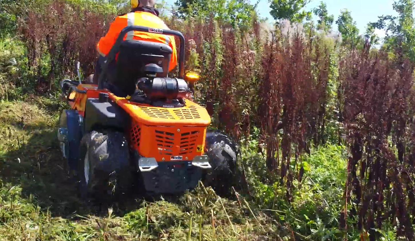 The 4x4 flail mower clearing dense gorse and blackberry scrub