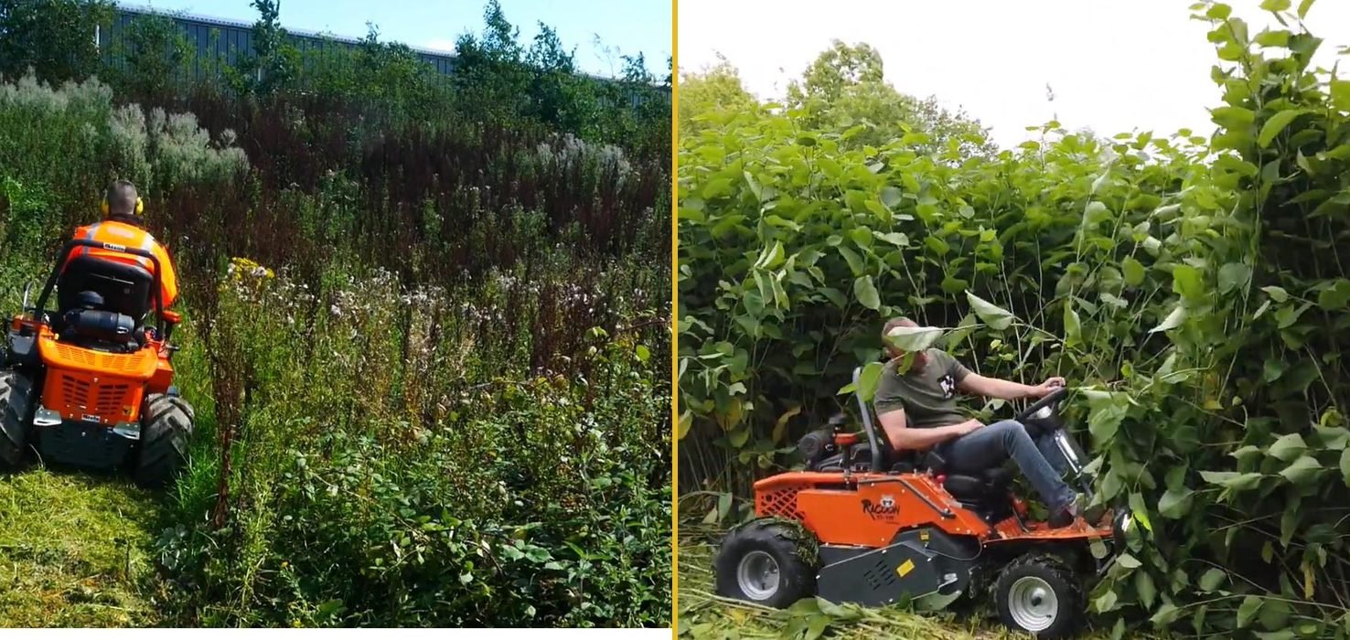 The 4x4 flail mower clearing overgrown scrub and vegetation
