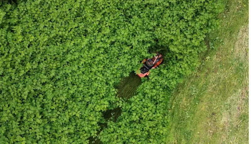 4x4 flail mower cutting through dense overgrown vegetation