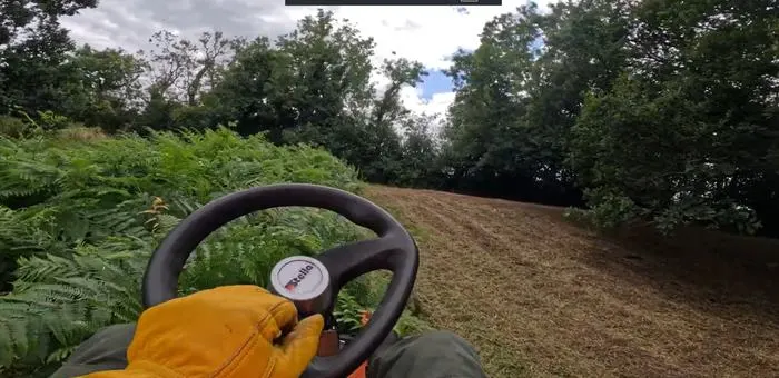 Mower operator view, cleared laneway
