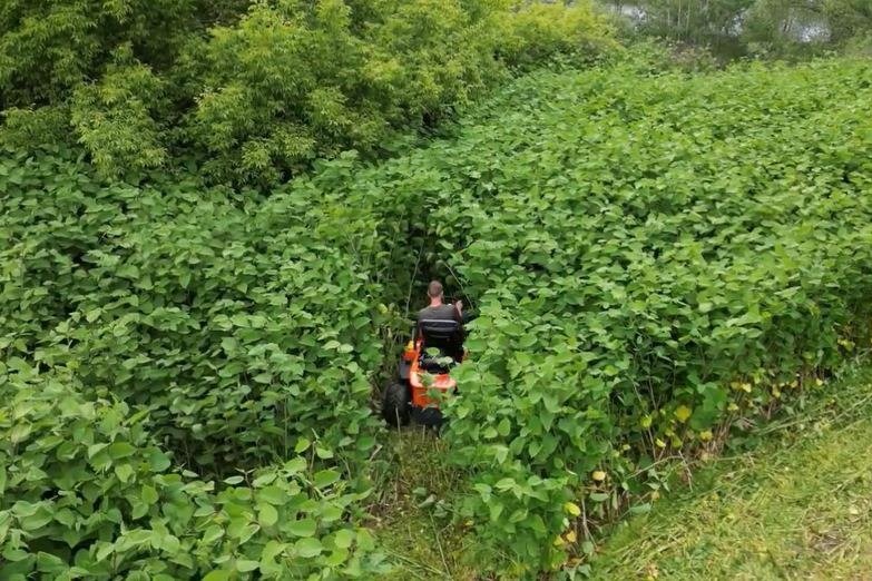 The 4x4 flail mower working through dense scrub