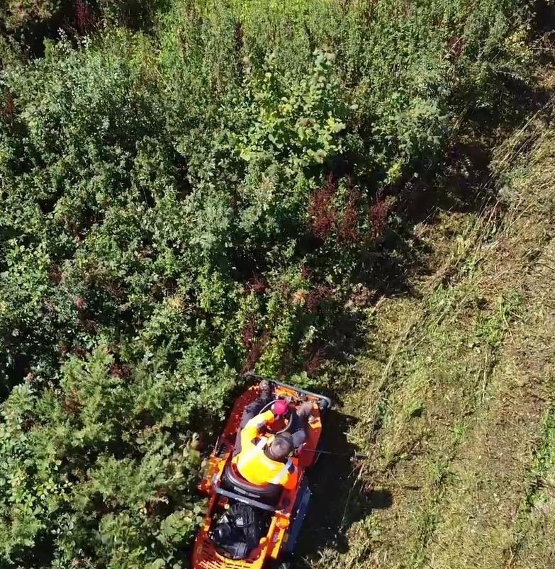 Aerial view of the 4x4 flail mower clearing a hedge line