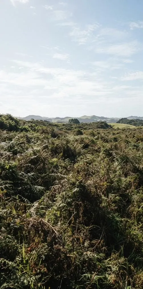 Bracken-covered slope before flail mowing