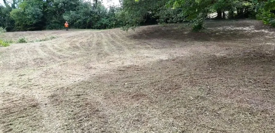 Auckland land clearing: cleared overgrown block, Auckland region