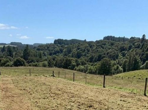 Cleared paddock with Northland hill country behind