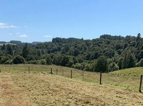 Northland land clearing: cleared paddock with Northland hill country behind