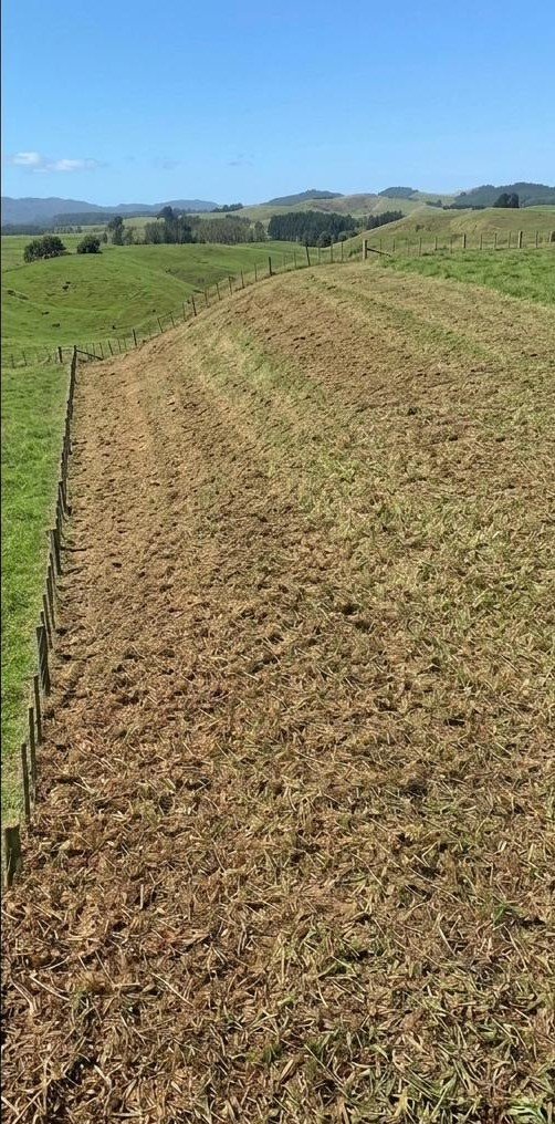 Gorse belt after clearing along fence line
