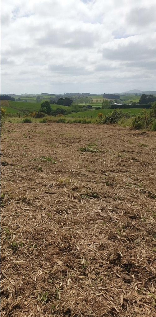 Gorse-covered paddock after clearing
