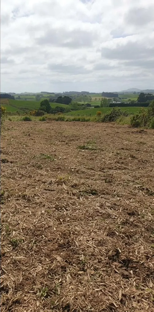Gorse-covered paddock after clearing