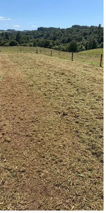 Hillside block after clearing