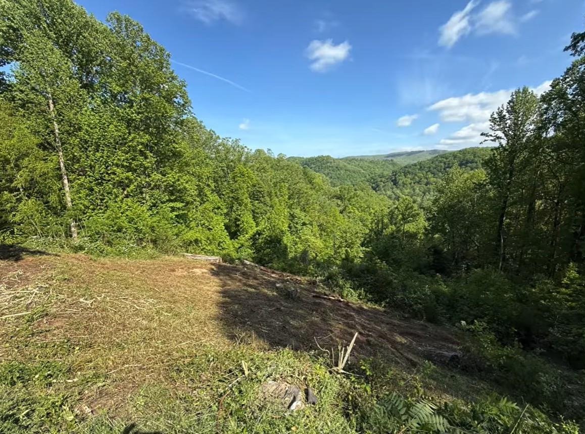 Hillside ridge after clearing
