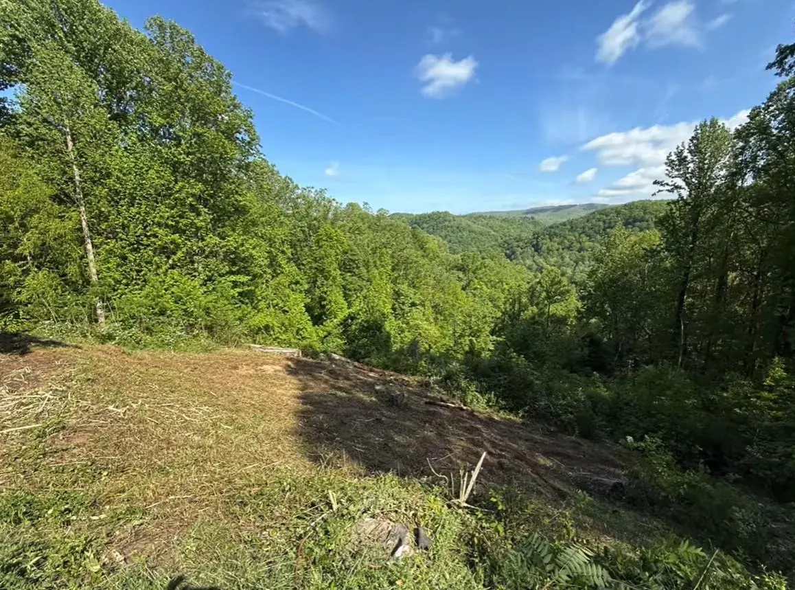 Hillside ridge after clearing