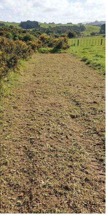Overgrown paddock after clearing