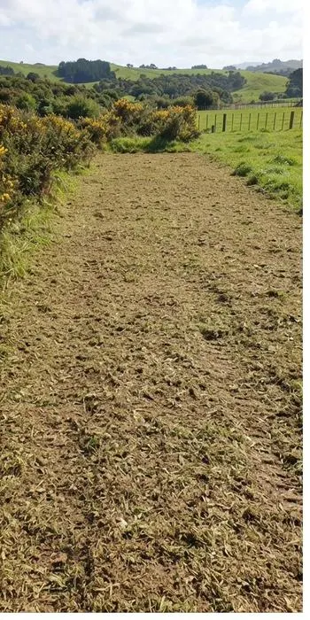 Overgrown paddock after clearing