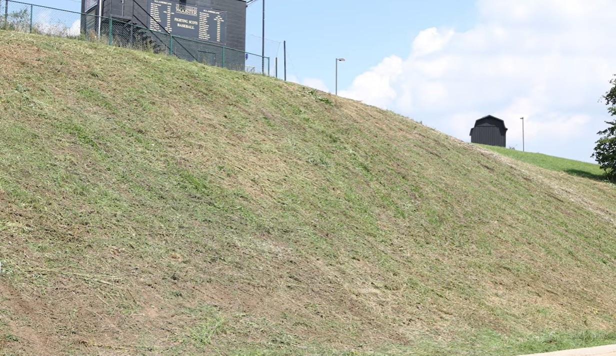 Roadside batter after mowing
