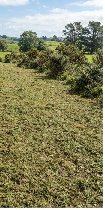 Rural block after clearing