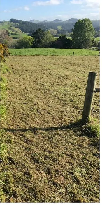 Vacant section after clearing