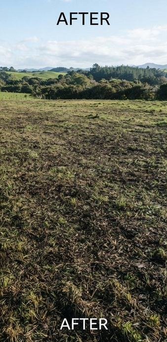 Waikato hillside after clearing
