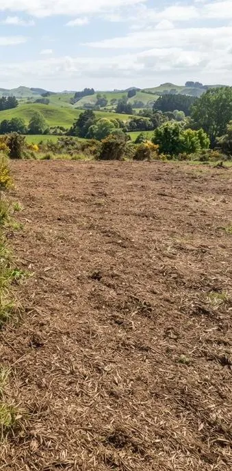 Waikato paddock after clearing