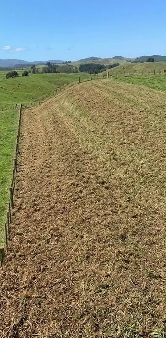 Waikato rural block after clearing